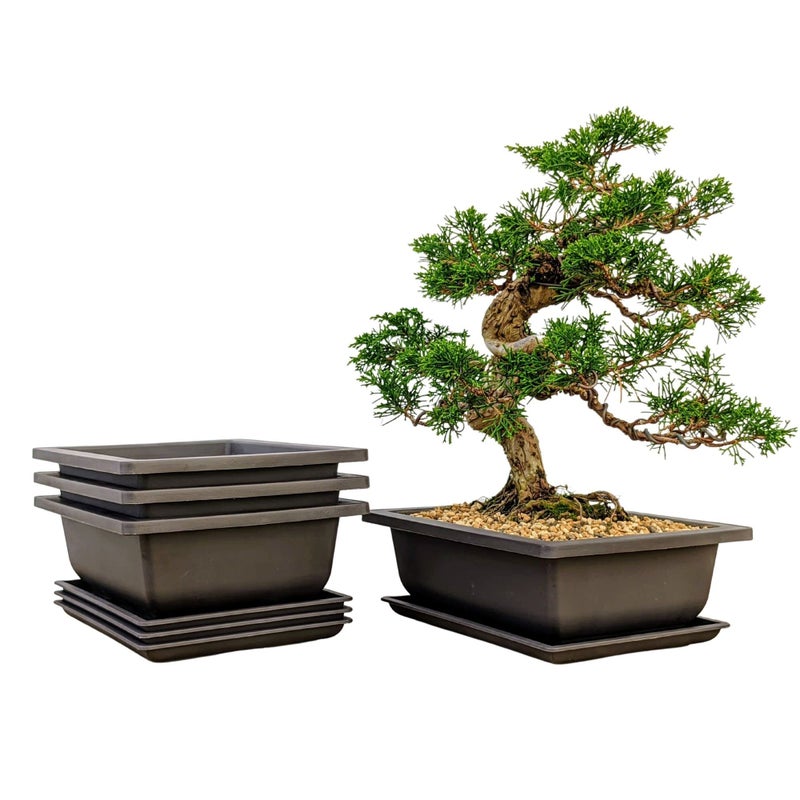 Bonsai Outlet أواني تدريب بونساي مع صواني رطوبة - شبكة مدمجة، بني 8 إنش أواني كبيرة + مصنوعة من بولي ريزين المتين المقاوم للكسر، مجموعة من 3 أواني - Image 1